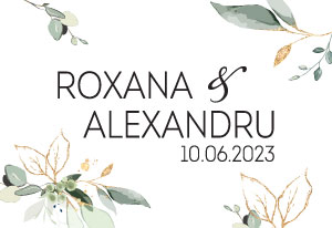 Nunta Roxana si Alexandru